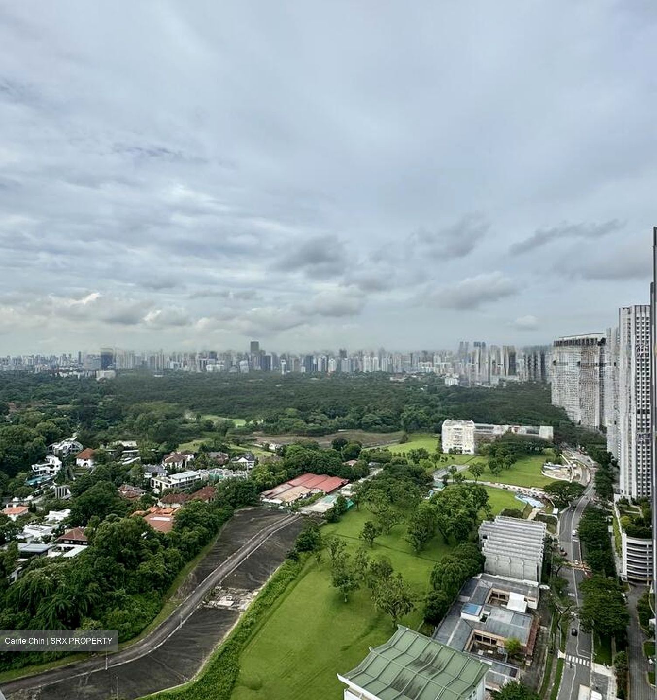 Tanglin Halt Road (D3), Condominium #482746831